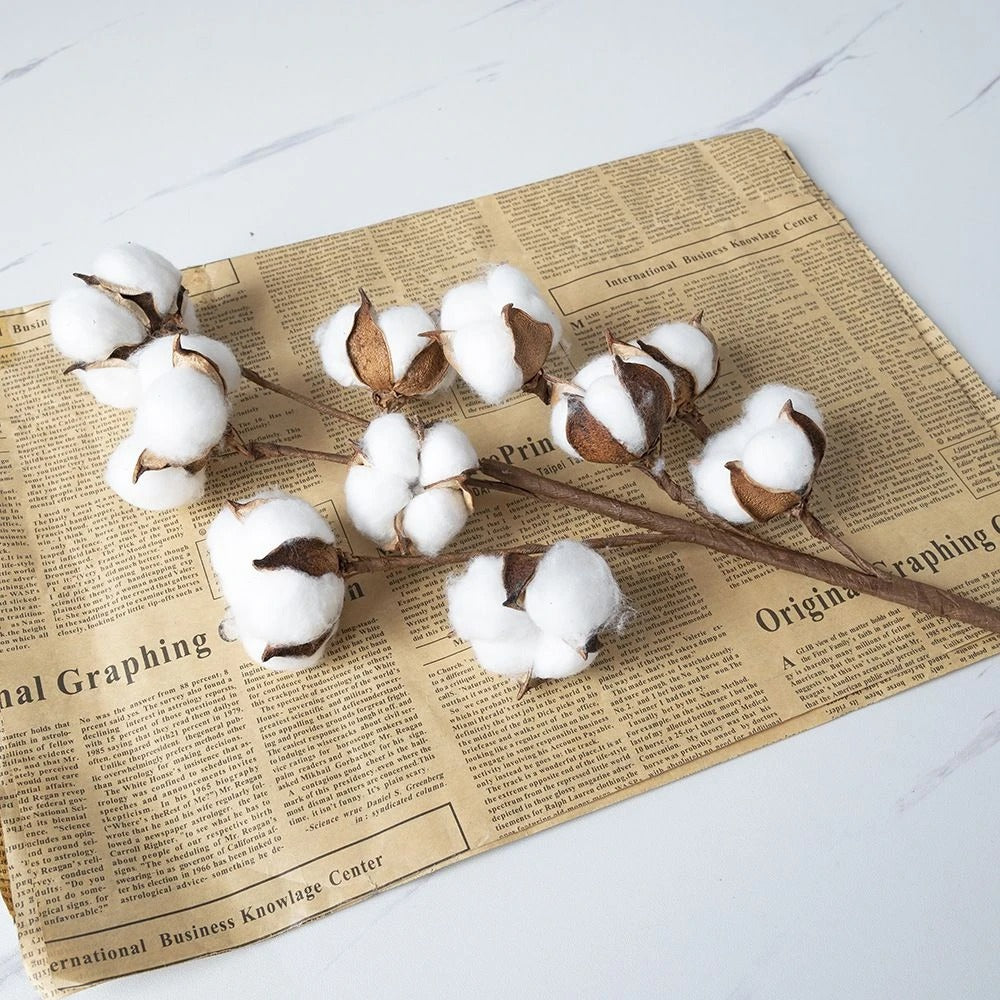 Cotton