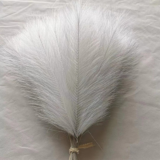 Fluffy Pampas