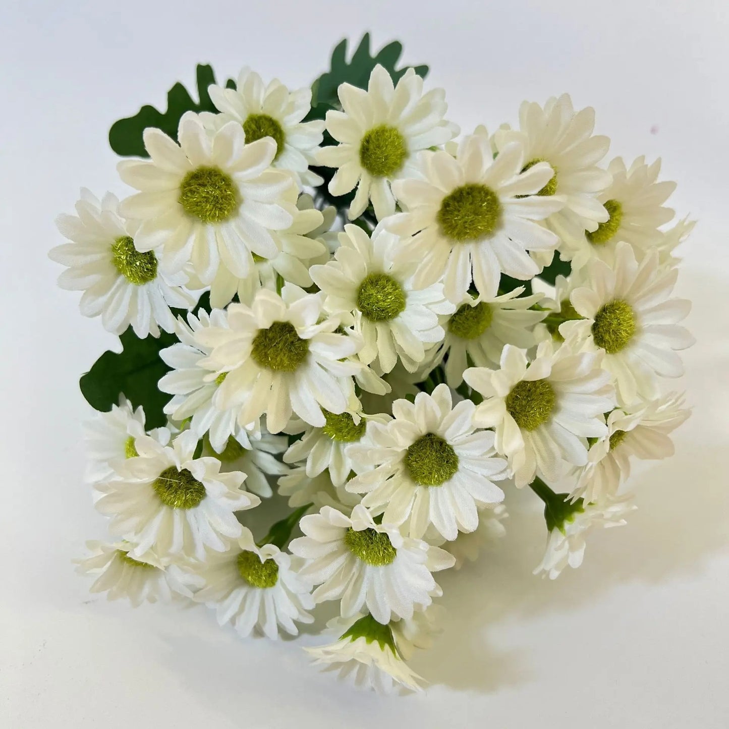 Daisies