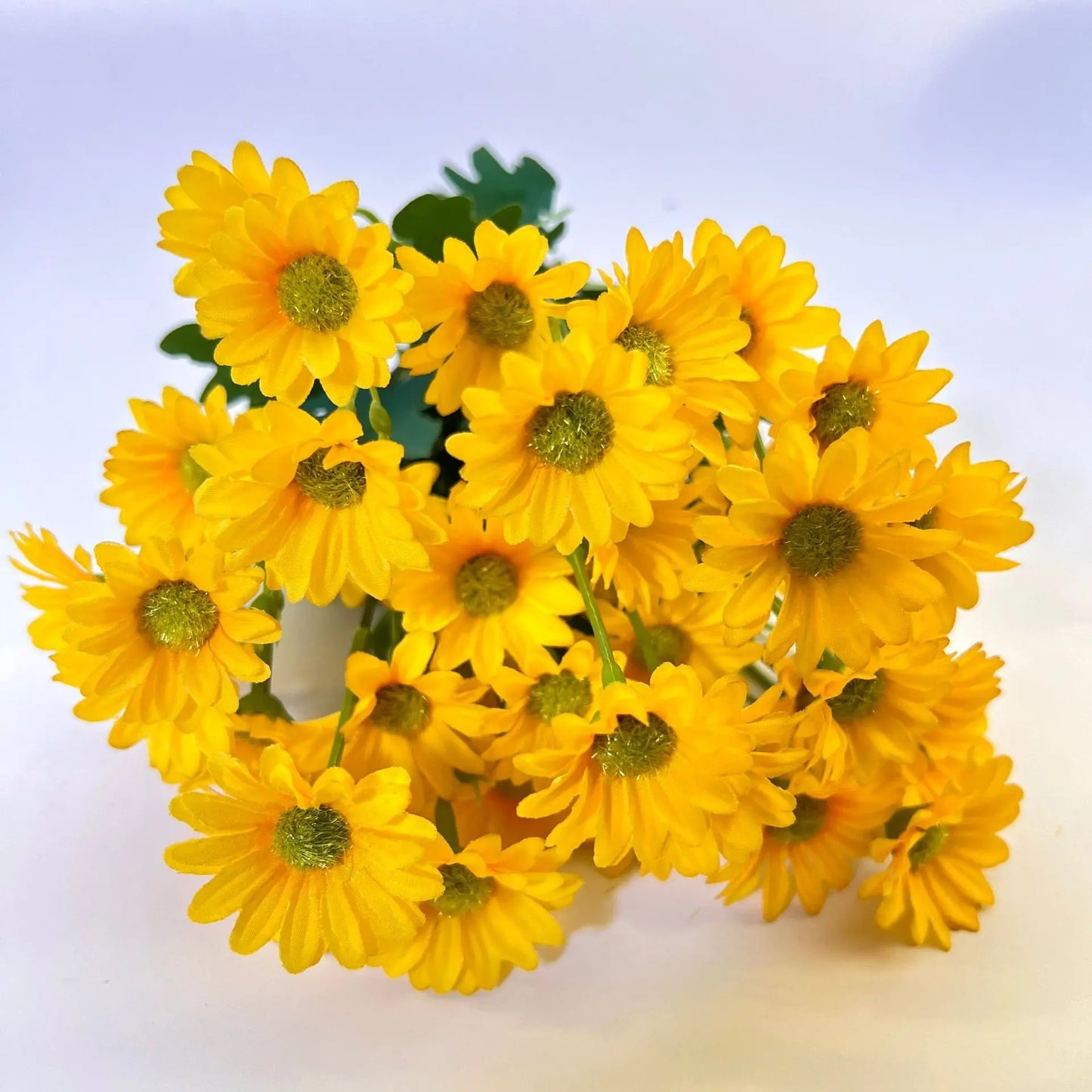 Daisies